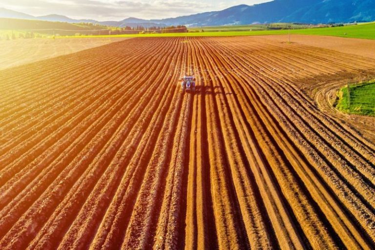 Agriculture Market Update: Q2 2025 in Review